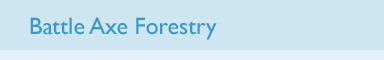 Header - Battle Axe Forestry